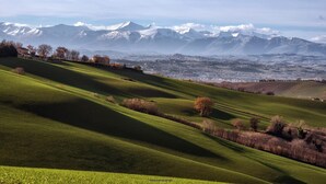 A panoramic view of a hilly landscape with green fields, scattered trees, and distant snow-capped mountains.