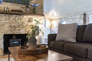 Smart TV, chimenea y reproductor de DVD 