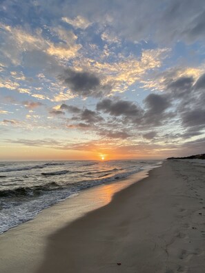 ビーチ、サンラウンジャー