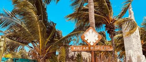 Vista frontal de la propiedad