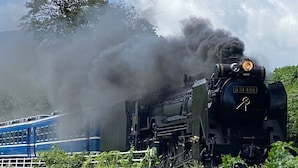 Een stoomlocomotief met nummer D51 498, die rook uitstoot, naast een blauwe passagierstrein.