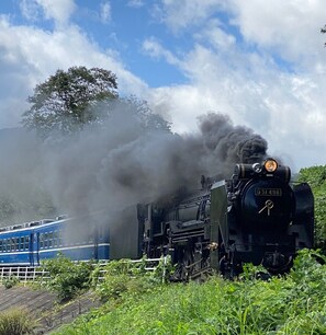 Miscellaneous - Kyuden Ryokan (Osaki)