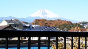 A residential area with houses, a swimming pool, and a view of a snow-capped mountain. - Izuhatake Onsen Seizan (Izunokuni)