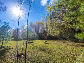 Badewanne, Haartrockner, Handtücher, Seife