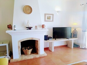 Smart TV, fireplace, books