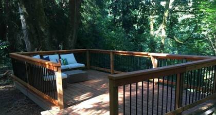 Hidden Creek Studio in Lake Forest Park!