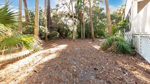 A pathway surrounded by tall trees and a white building with a sloped roof.