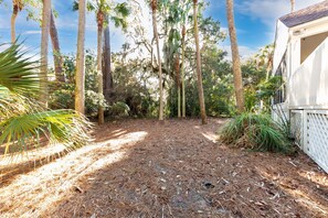 Property grounds - Fantastic, Spacious 3BR/3.5BA! Large Screened Porch with Wooded View! Amenity access including! (Seabrook Island)