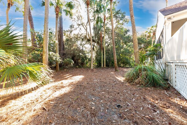 A pathway surrounded by tall trees and a white building with a sloped roof. - Fantastic, Spacious 3BR/3.5BA! Large Screened Porch with Wooded View! Amenity access including! (Seabrook Island)