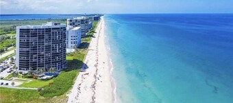 Nettles Island - The Lazy Pelican