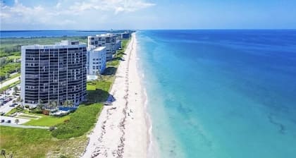 Nettles Island - The Lazy Pelican