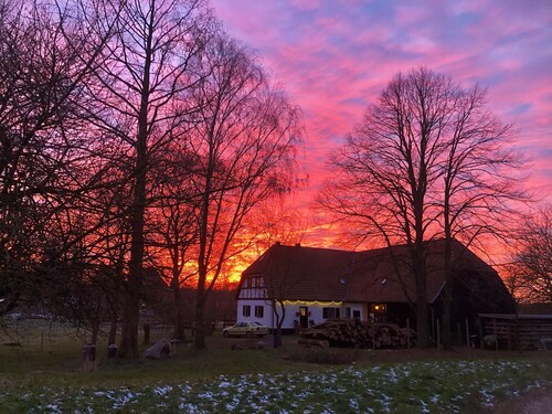 Apartment - For Güstrow: Apartment Bergfeld