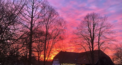 Apartment - For Güstrow: Apartment Bergfeld