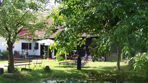 A serene outdoor area with a pond, benches, and bicycles. - Apartment - For Güstrow: Apartment Bergfeld (Lalendorf)