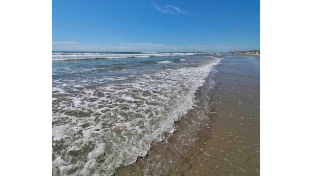 A beach with waves gently lapping onto the shore, clear skies, and distant buildings. - 33❤️Waterfront❤️Fishing Dock❤️Close to beach❤️King Bed (BreckenridgeCorpus Christi)