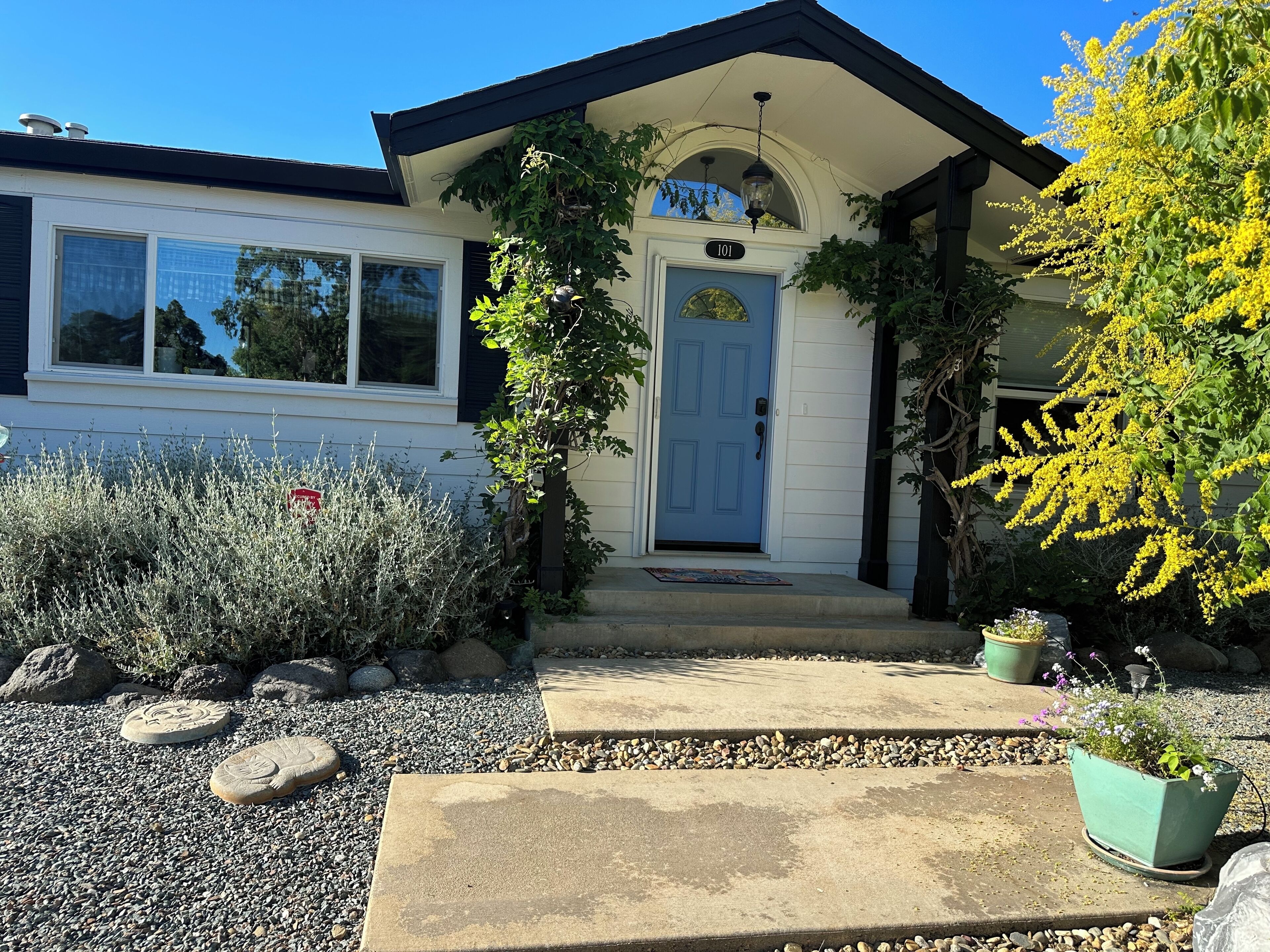 Backyard Oasis - Quiet and Beautiful AND Walk to Downtown Murphys