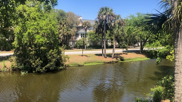 Property grounds