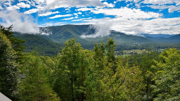 Un paysage montagneux, avec une forêt dense et un ciel dégagé.