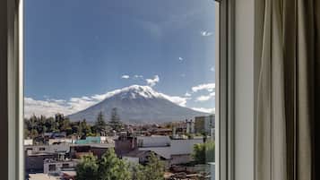 Vista de una montaña nevada a través de una ventana, con edificios y árboles en primer plano.
