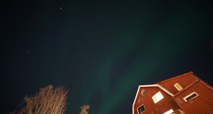 Arctic Rooms REKTOR