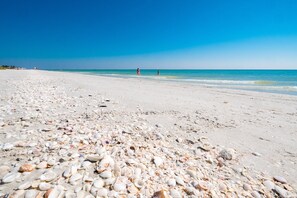 A beach with white sand and scattered seashells.