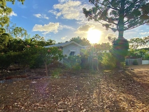 A house surrounded by trees and a garden with mulch. - Kadani (Picnic Bay)