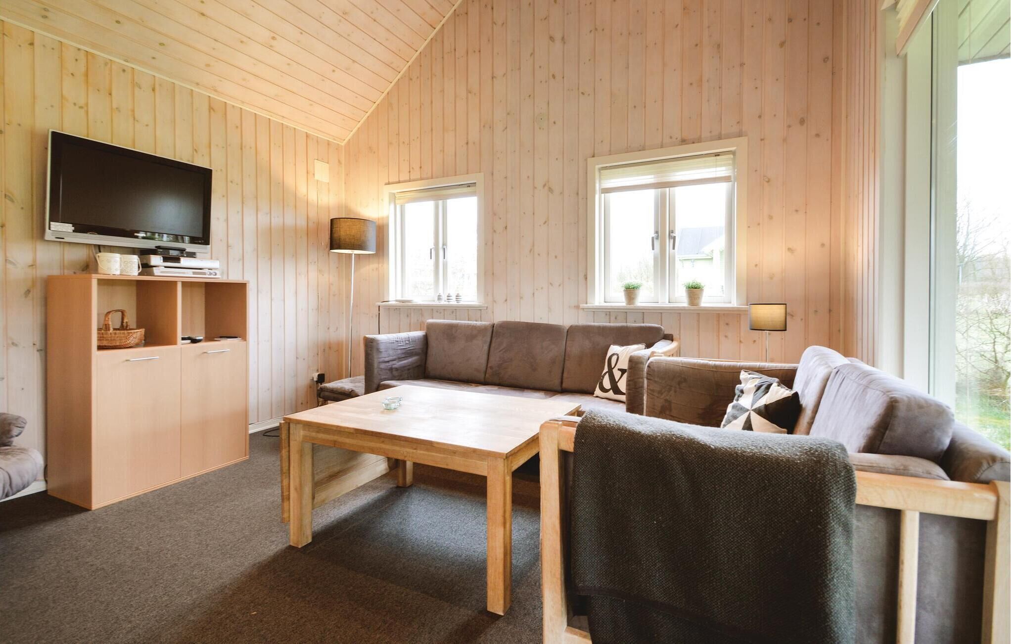 تلفزيون، مشغل دي في دي