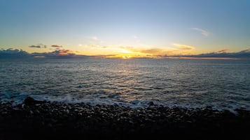Accommodatie ligt op het strand, ligstoelen, strandlakens