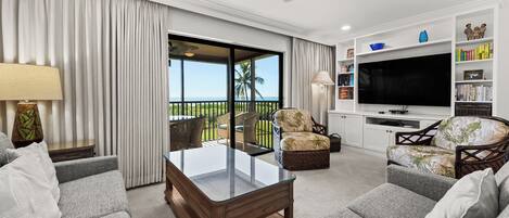 تلفزيون، مشغل دي في دي