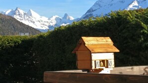 Una casetta per uccelli in legno su un tetto, con sullo sfondo montagne innevate e una fitta foresta.