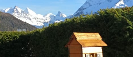 A wooden birdhouse on a rooftop with a backdrop of snow-capped mountains and dense forest.