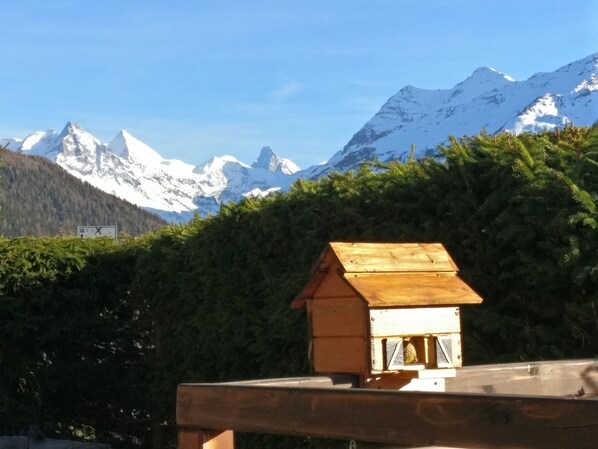 A wooden birdhouse on a rooftop with a backdrop of snow-capped mountains and dense forest.