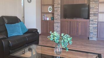 Älytelevisio, kirjoja