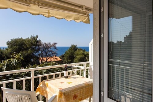 Apartments Villa Ana Dingač - One Bedroom Apartment with Balcony and Sea View (Apartment 1)