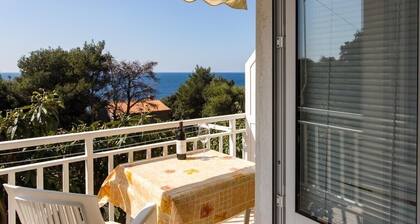 Apartments Villa Ana Dingač - One Bedroom Apartment with Balcony and Sea View (Apartment 1)