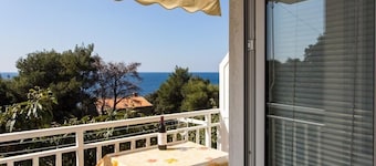 Apartments Villa Ana Dingač - One Bedroom Apartment with Balcony and Sea View (Apartment 1)