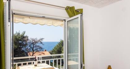 Apartments Villa Ana Dingač - One Bedroom Apartment with Balcony and Sea View (Apartment 2)