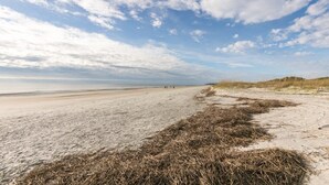 Una playa arenosa con vegetación escasa y cielo despejado.