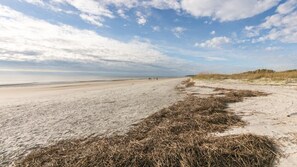 Beach - Marriotts SurfWatch - 3 Bedroom (Hilton Head Island)