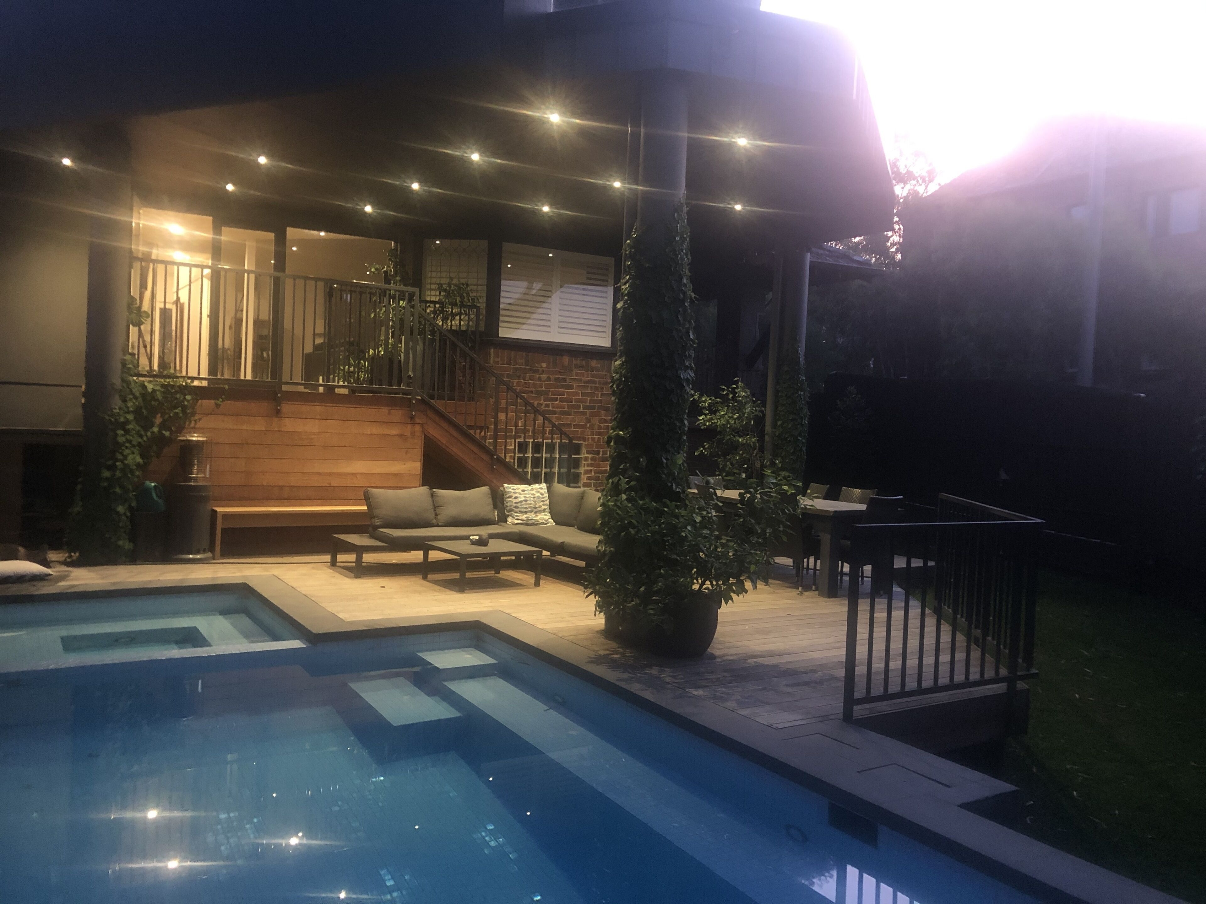 Top of the Trees in the City