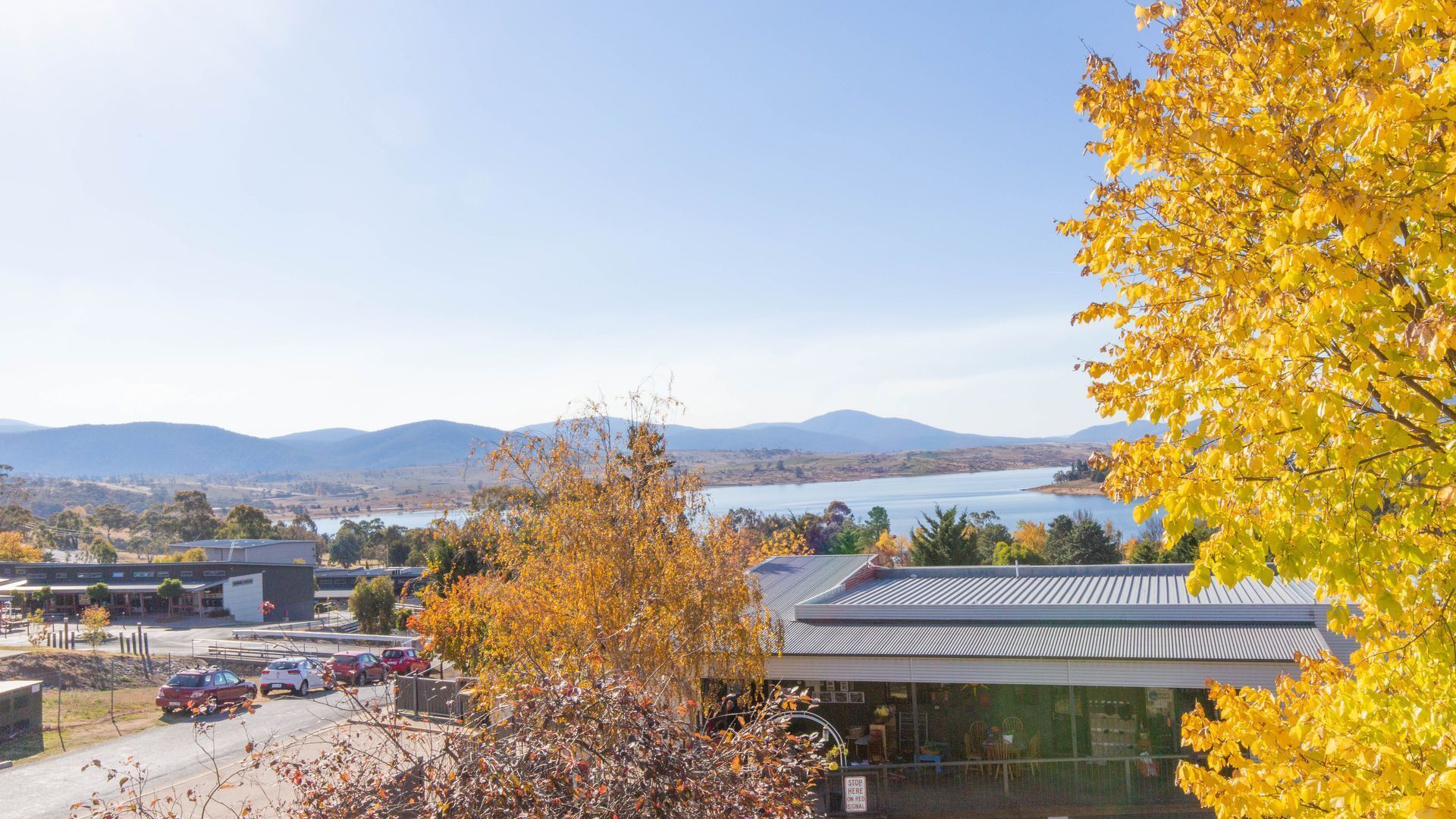 Alaska - 2/8 Poley Cow Lane — image 18