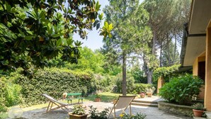 A patio with lounge chairs, potted plants, and a stone pathway. - Villa la Bruscola by MMega (Barberino di Mugello)