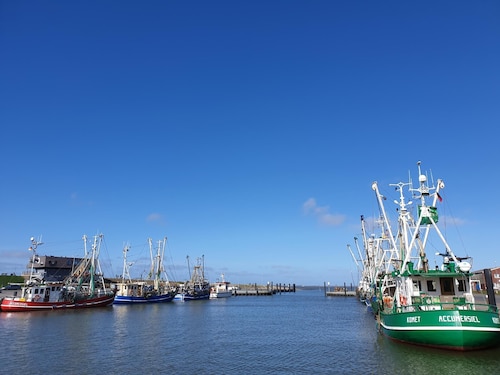 Vacation cottage Kegelrobbe