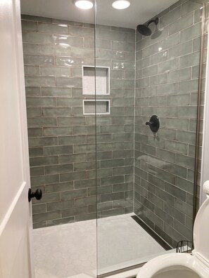 Combined shower/tub, hair dryer, shampoo, toilet paper