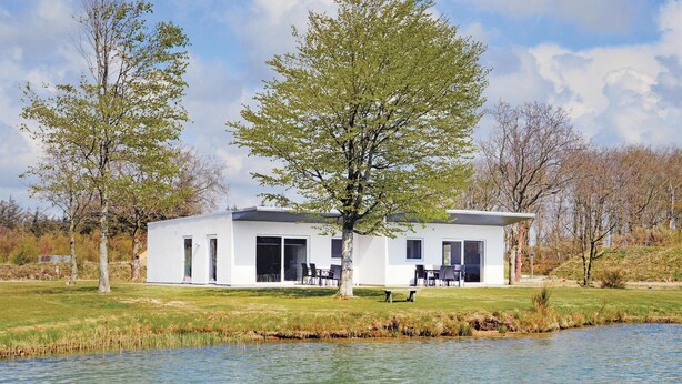 Een moderne, gelijkvloerse woning met een grote boom ervoor, aan een rustig meer gelegen.