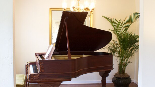 A grand piano in a room with a patterned rug, a potted plant, and a chandelier. - The Tudor Rose - A classy, comfortable getaway (San Anselmo)
