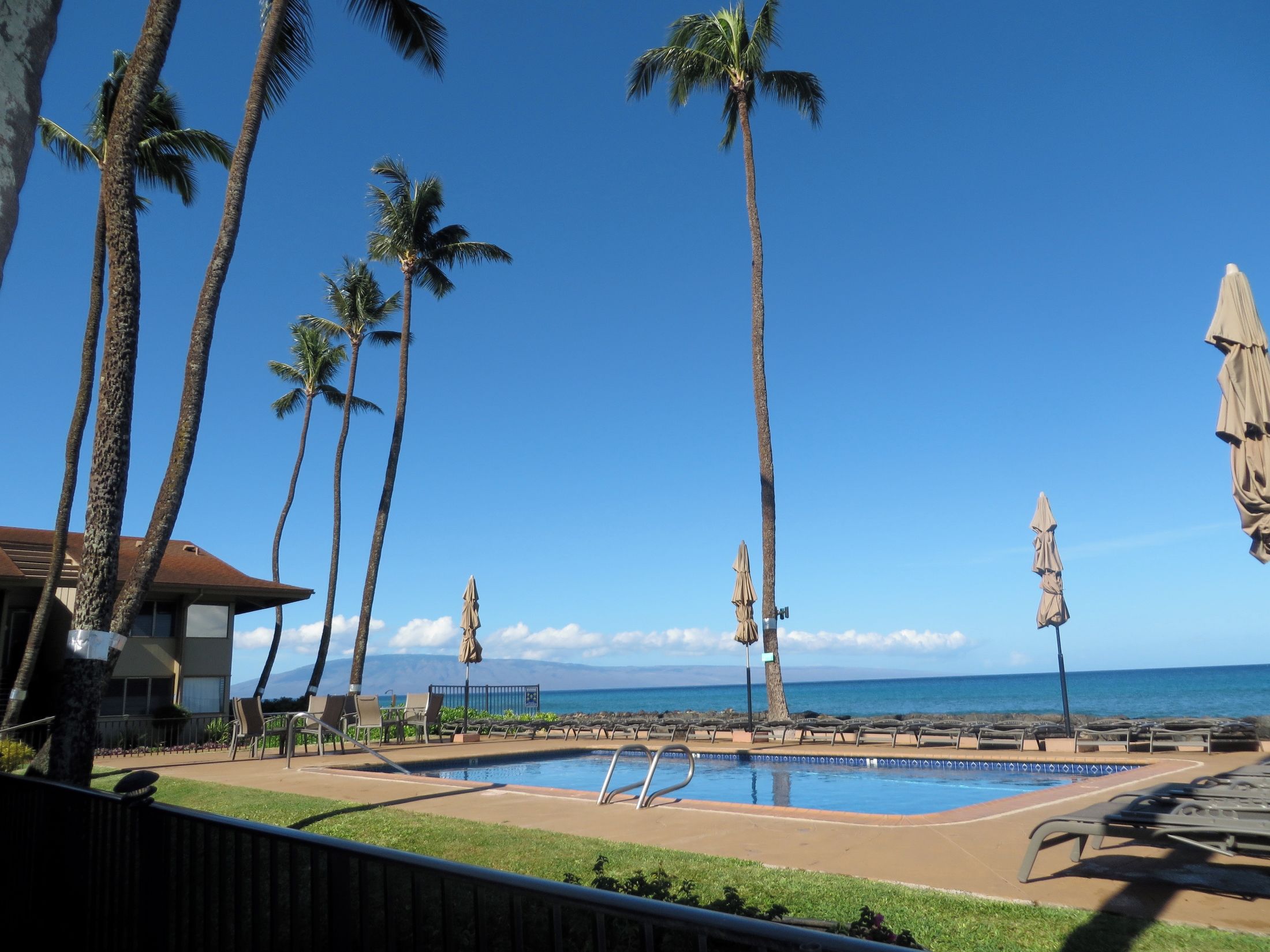 A pool area with lounge chairs and umbrellas, surrounded by palm trees, with a view of the ocean.