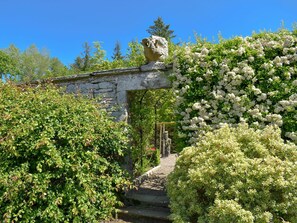 المنطقة المحيطة بالمنشأة