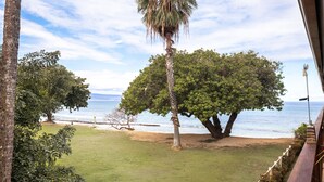A view of a beach with palm trees and a clear sky.