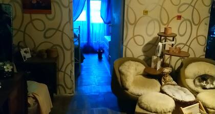 Cozy room near the International Exhibition Center and metro station.